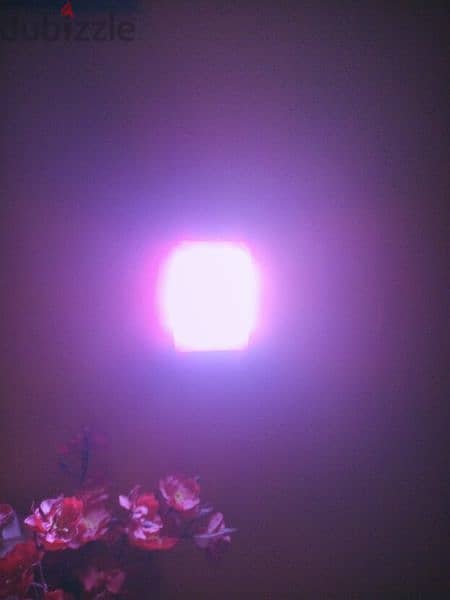 ضوء حائط داخلي ليد فاخر WALL led switch night light 1