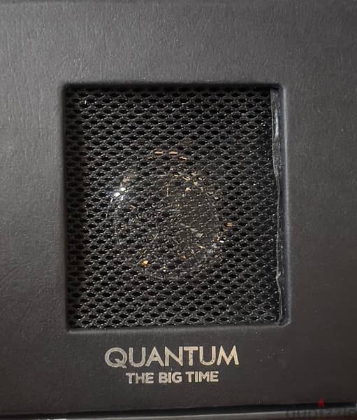 QUANTUM — Men Whatch 6