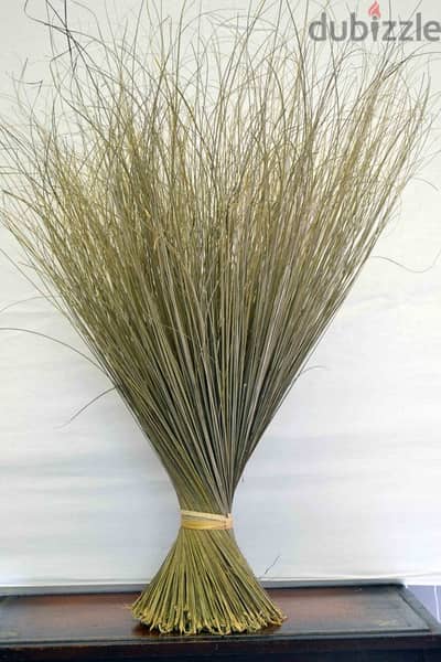 African Broom for sale in large quantities