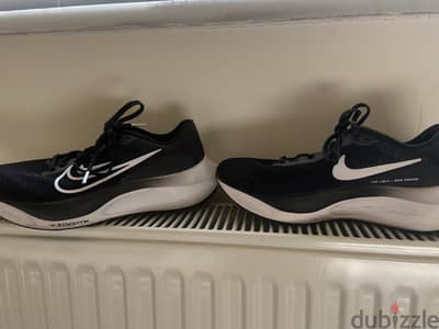 Nike Zoom Max shoes