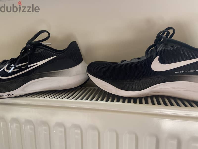 Nike Zoom Max shoes 1