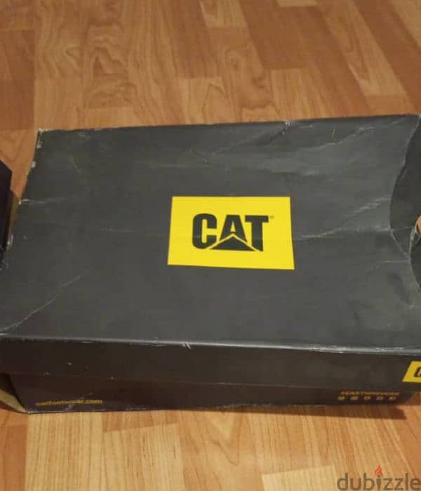 Cat shose 1