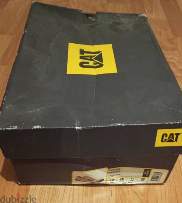 Cat shose 2