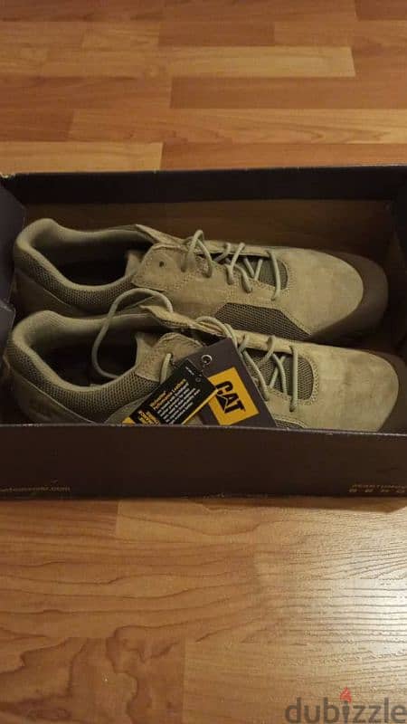 Cat shose 3
