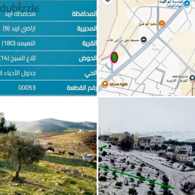 اربد النعيمه