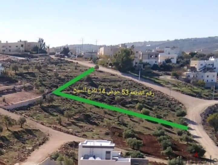 اربد النعيمه 1