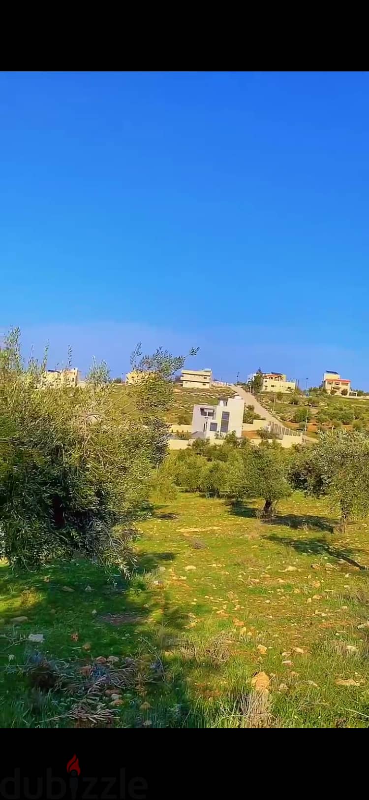 اربد النعيمه 2