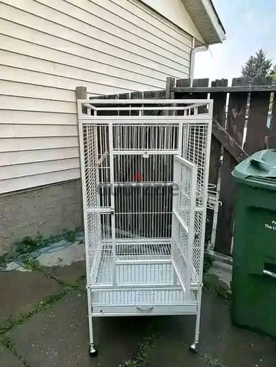 Premium Poultry Equipment, Feed & Breeds (Lohmann Brown, Baladi & Ross