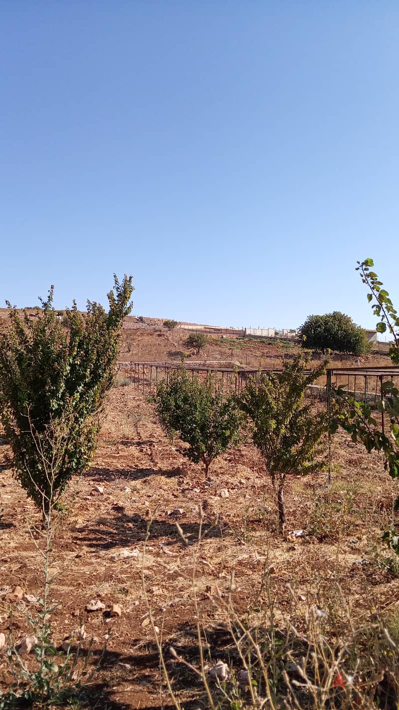 قطعة أرض للبيع في عجلون 12