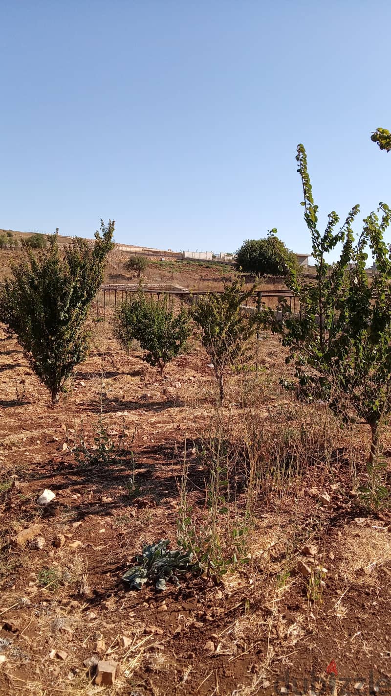 قطعة أرض للبيع في عجلون 14
