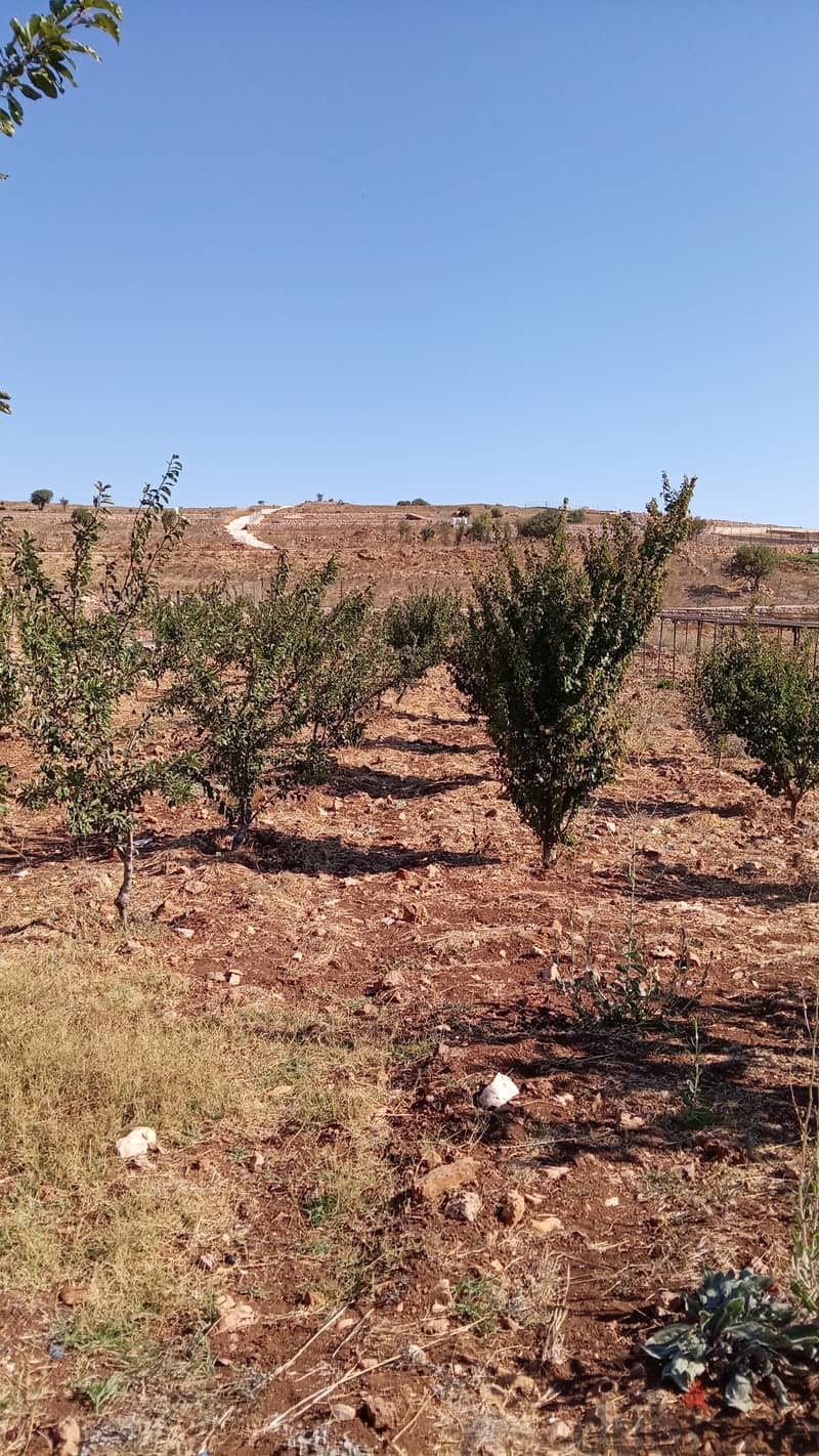 قطعة أرض للبيع في عجلون 15