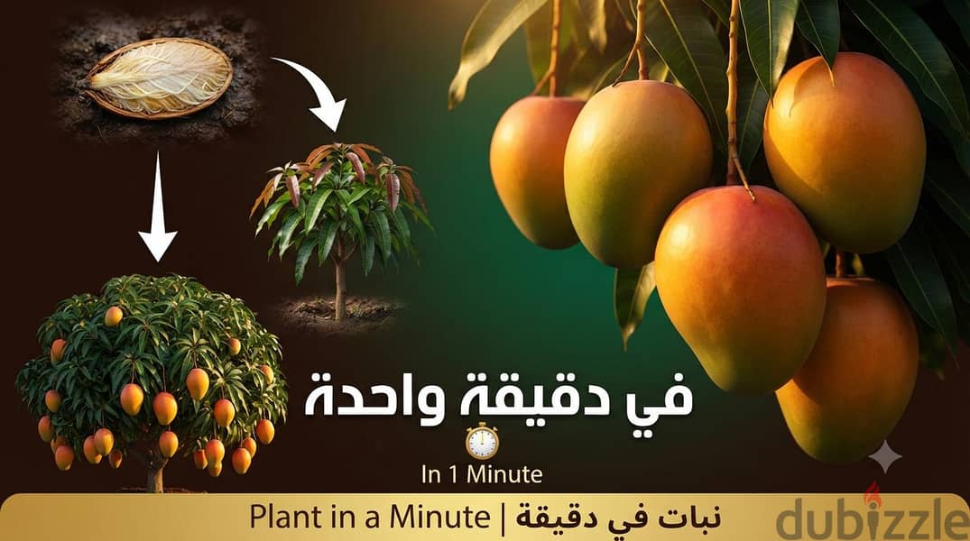 اصنع محتواك وحلقات رمضان 1