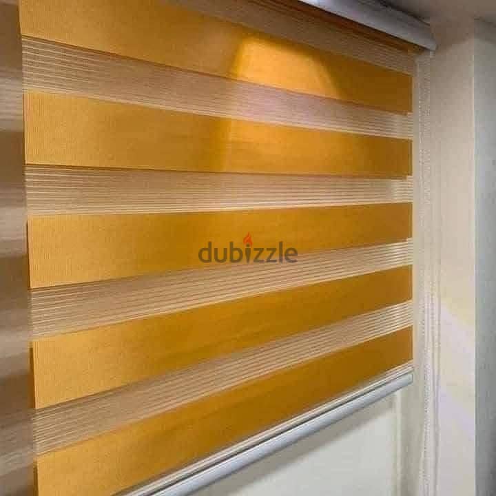 برادي زيبرا 2