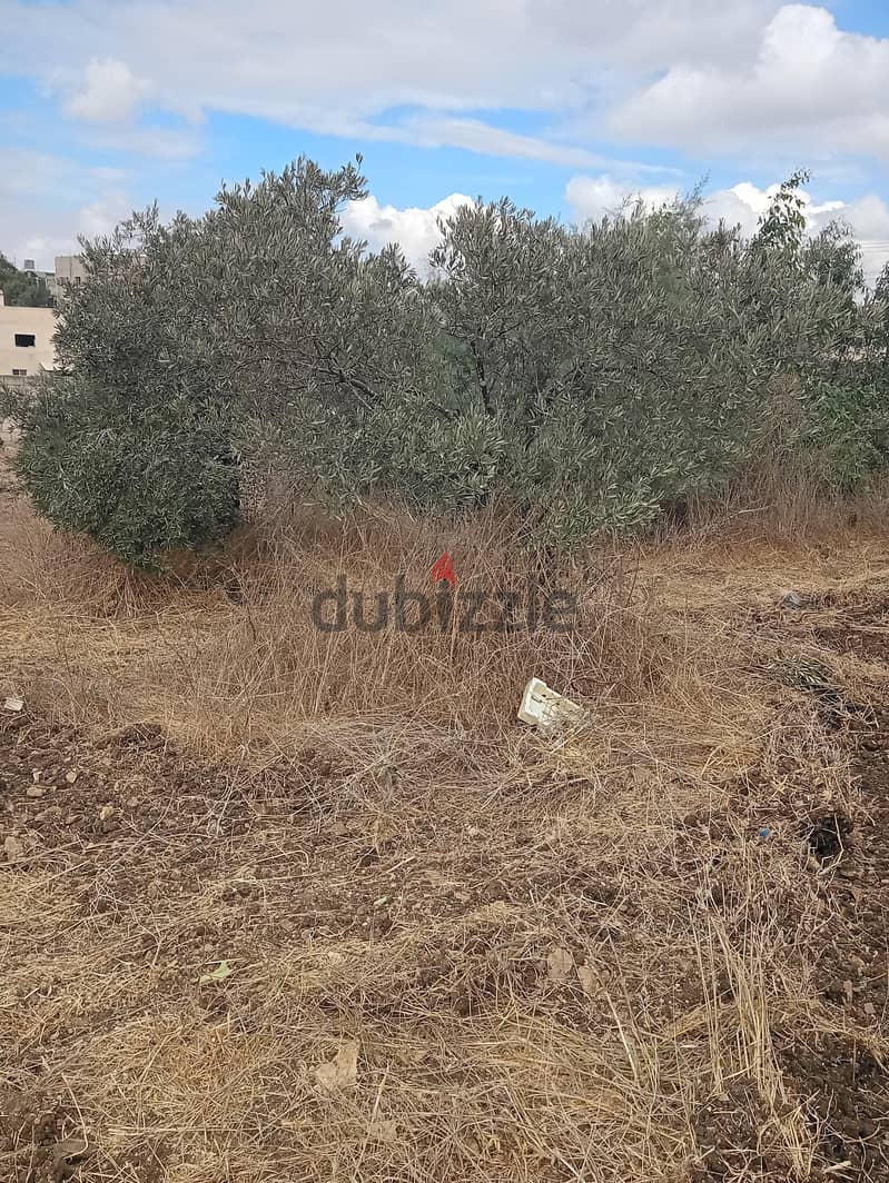 قطعة ارض للببع 2