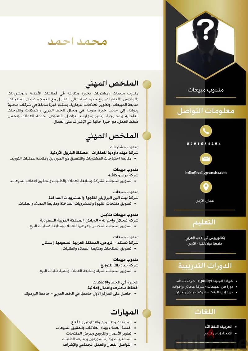 تصميم cv ATS 17